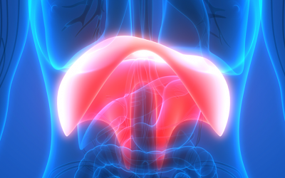 O que o diafragma tem a ver com a boa e a má saúde?